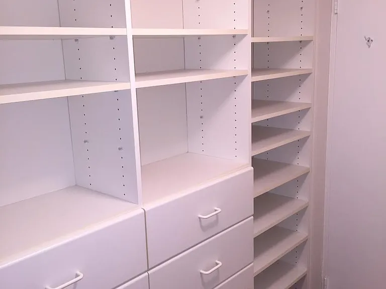 Walk In Closet with Closet Organizer