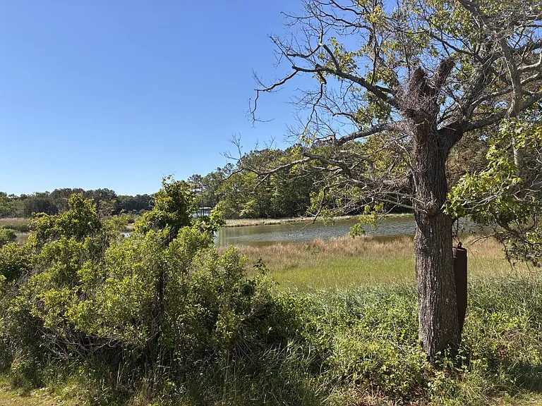 Afternoon view of tidal wetlands on back corner of property
