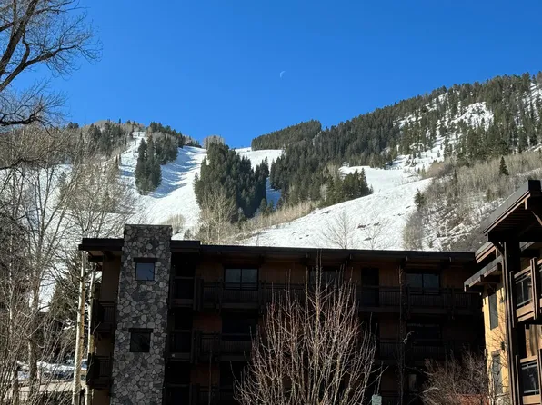 131 E Durant Ave #205, Aspen, CO 81611