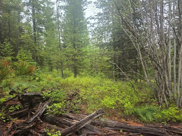 TRACT 18 Nine Mile Rd, Huson, MT 59846