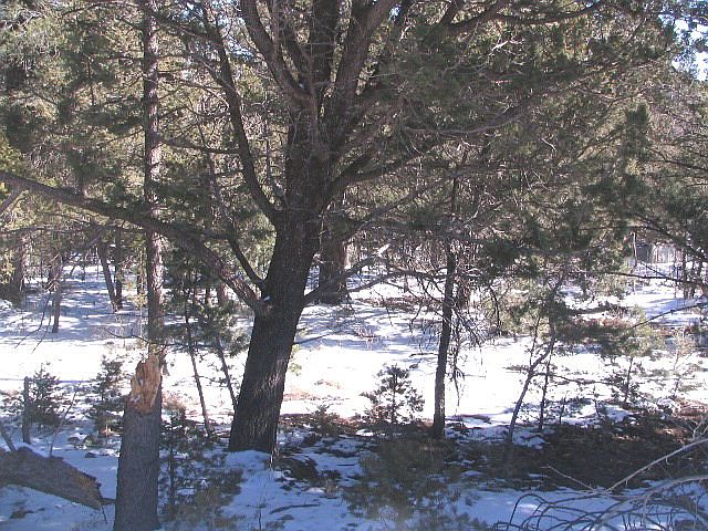 1st image of Sierra Vis