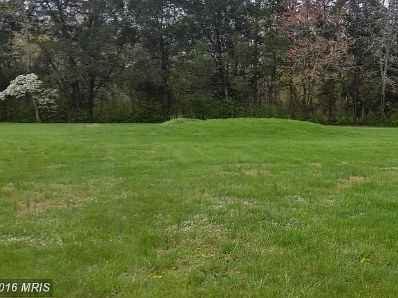 level huge yard for family fun