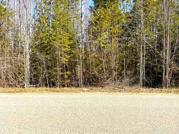 McDonald Rd, Cheboygan, MI 49721