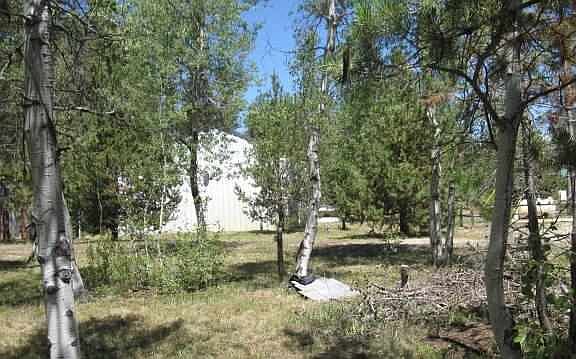 4th image of 12985/87 Patty Dr