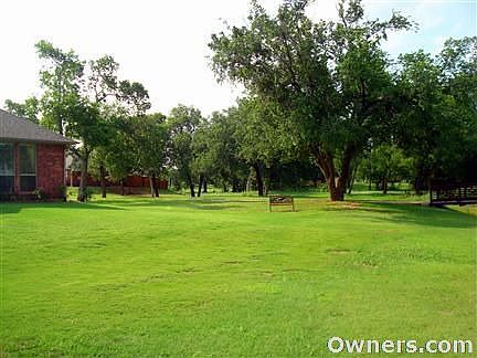 View toward house from backyard