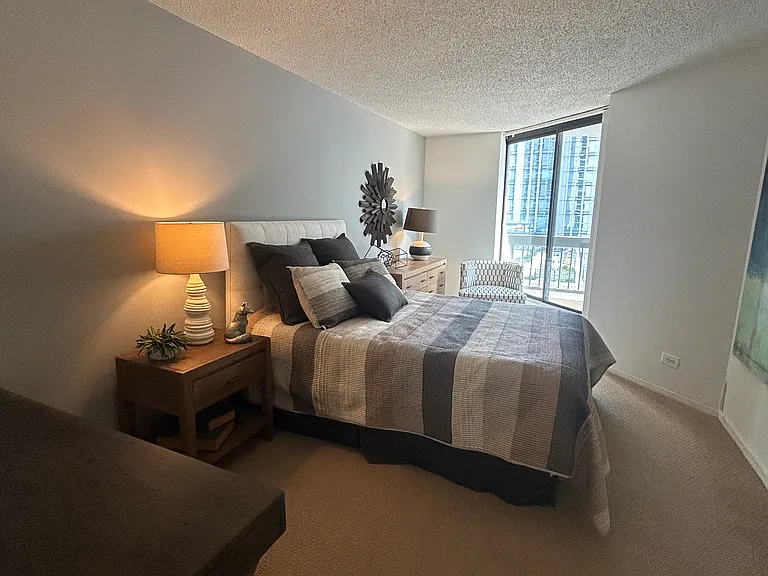 800 N Dearborn St #2310 — Photo 8
