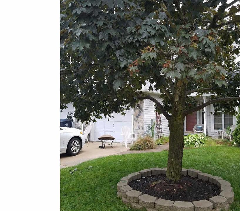 1st image of 1144 Glen Haven Ct