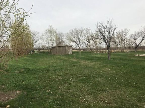 north boundary & shed