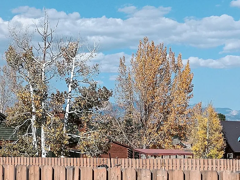 182 Driftwood Dr — Photo 5