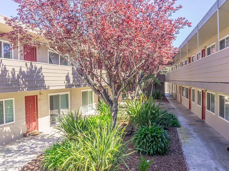 Alder Park Apartments — Photo 5