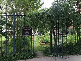 Rented by Realty Collective