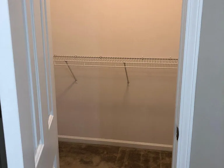Master bathroom walk-in closet