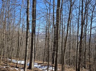 8 Upper Cherry Grove Rd, Slatyfork, WV 26291