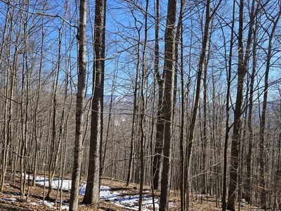 8 Upper Cherry Grove Rd, Slatyfork, WV, 26291