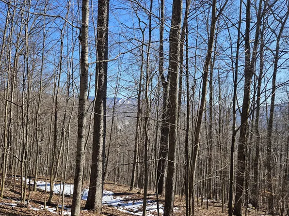 8 Upper Cherry Grove Rd, Slatyfork, WV 26291