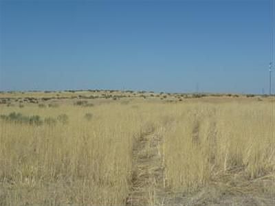 1st image of 15685 County Road 4
