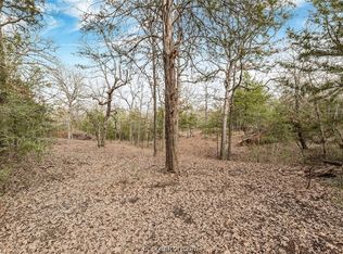 18246 & 18248 Old Bundick Rd, Hearne, TX 77859