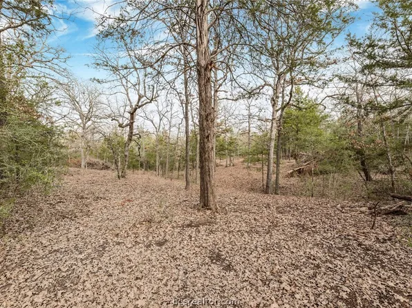 18246 & 18248 Old Bundick Rd, Hearne, TX 77859