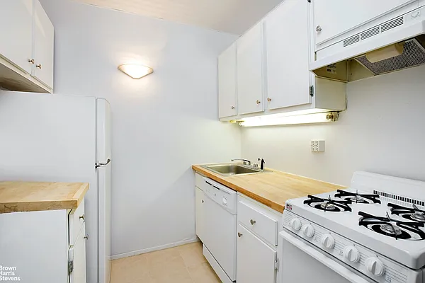 Rented by Brown Harris Stevens | media 2