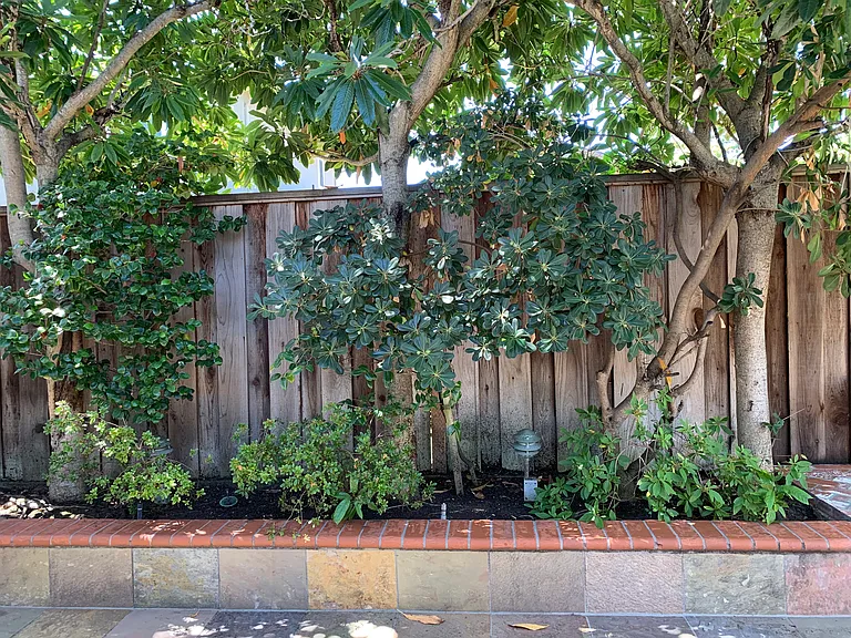 Beautiful backyard garden enjoyed from the dining area