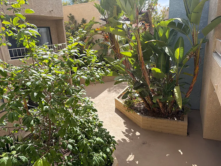 550 Orange Ave #207 — Photo 11