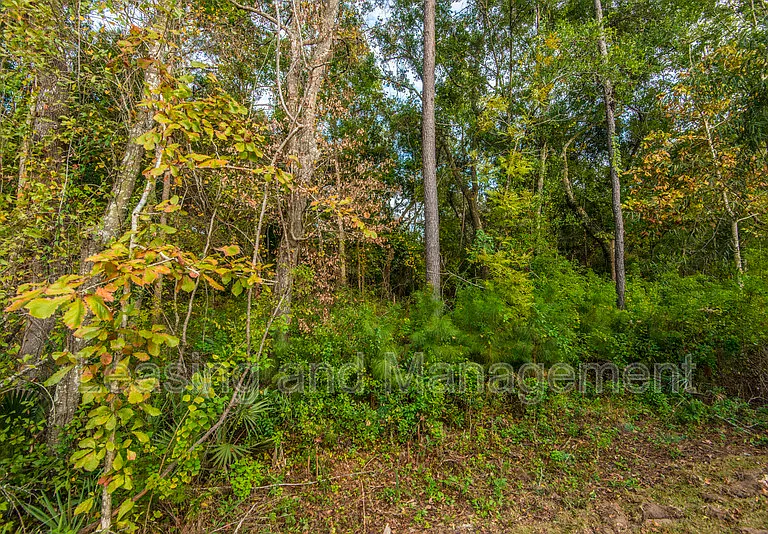 2000 Fleming Woods Rd — Photo 26