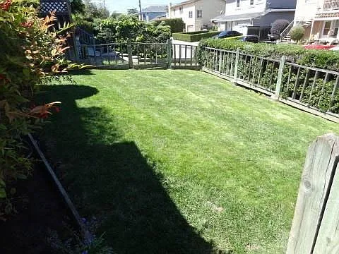 Front yard