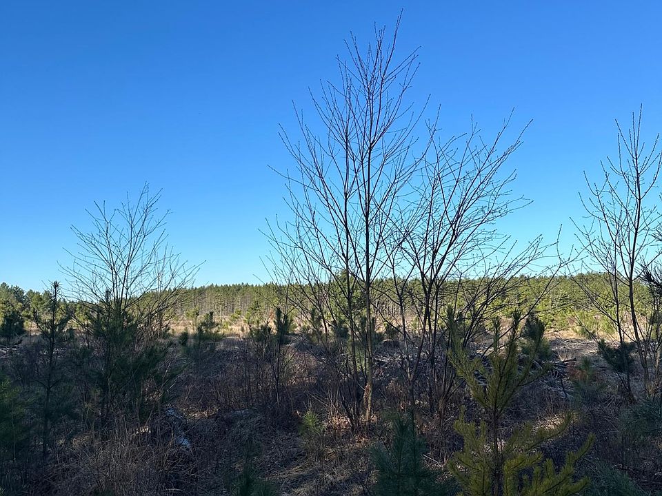 2nd image of Lower Kaubashine Rd #4094-6