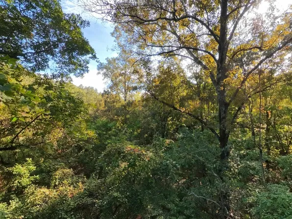 0 River Bend Rd Lot 19, Mammoth Spring, AR 72554