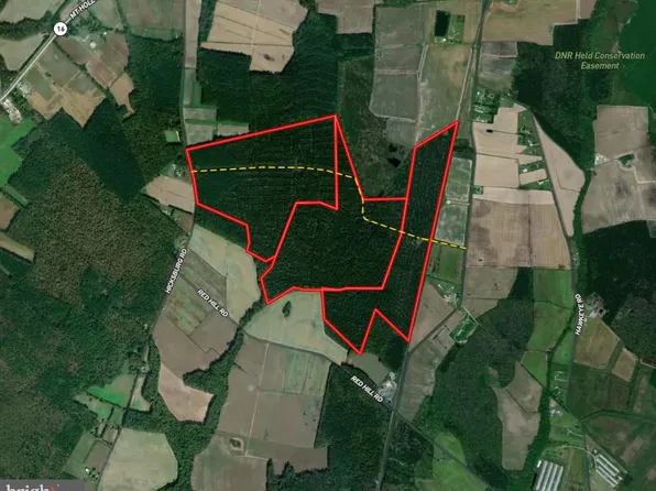 Hicksburg Rd, East New Market, MD 21631