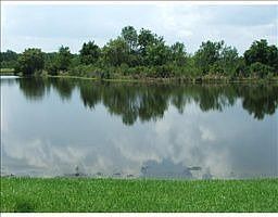 4th image of 10230 Chatuge Dr