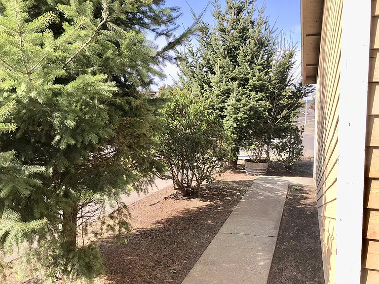 Auburn 4-Plex — Photo 10