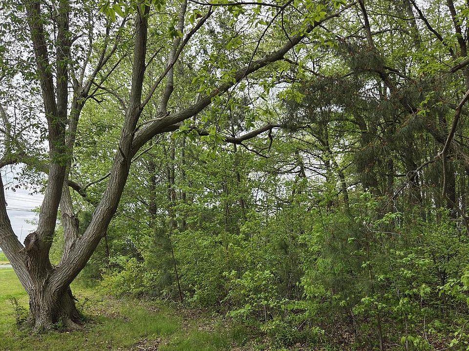 2nd image of 0 Pickering Beach Rd
