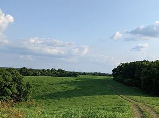 4408 Little Missouri Rd, Pineville, MO 64856