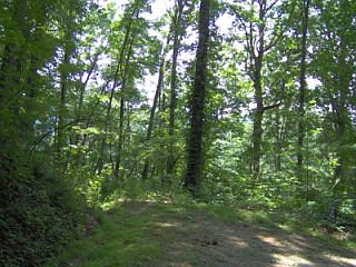 1st image of LOT Thirteen Sec E