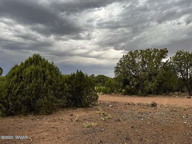 2nd image of 3845 Apache Rd