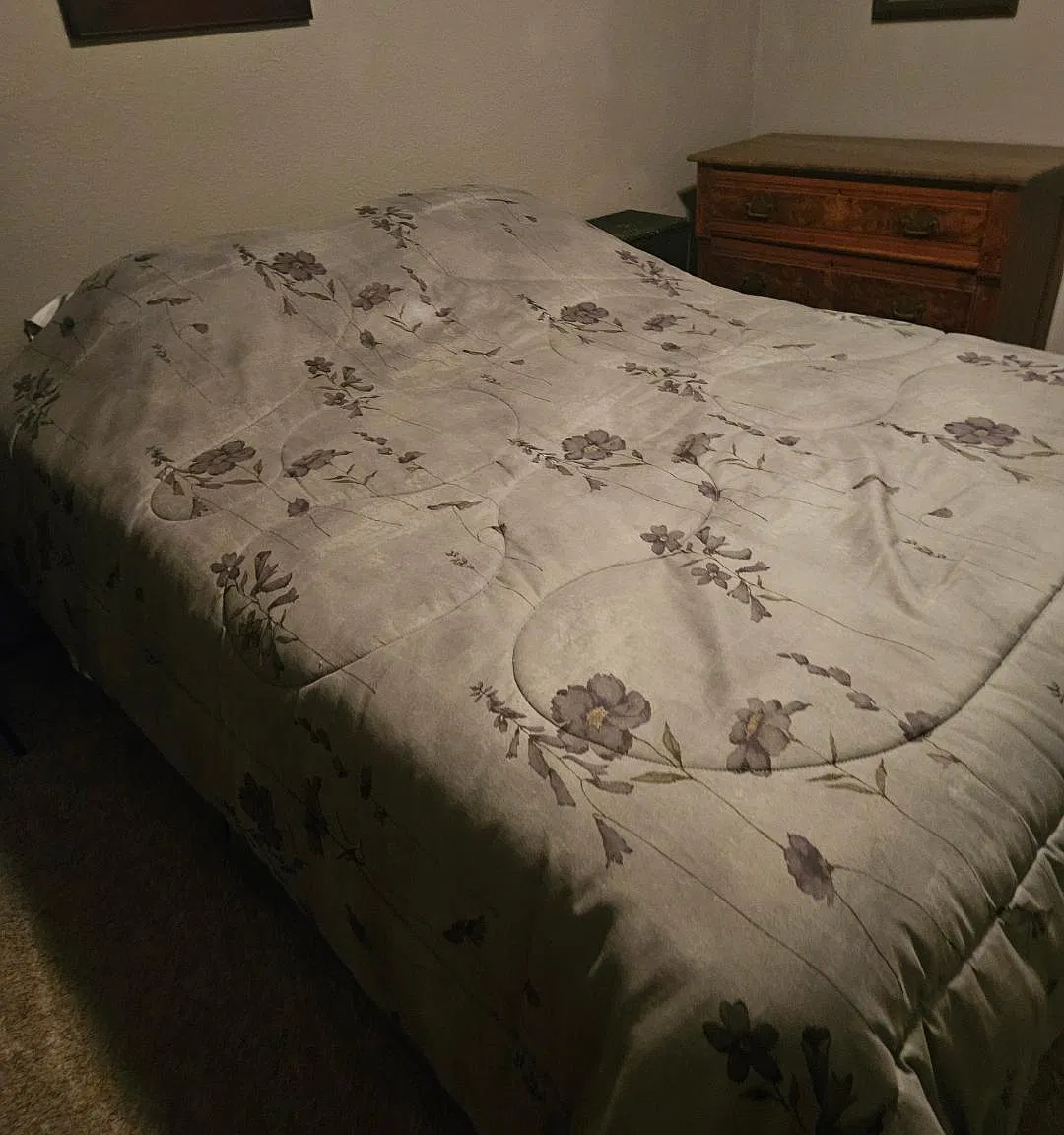 2 bed, 1520 sqft, $1,700 — Photo 1
