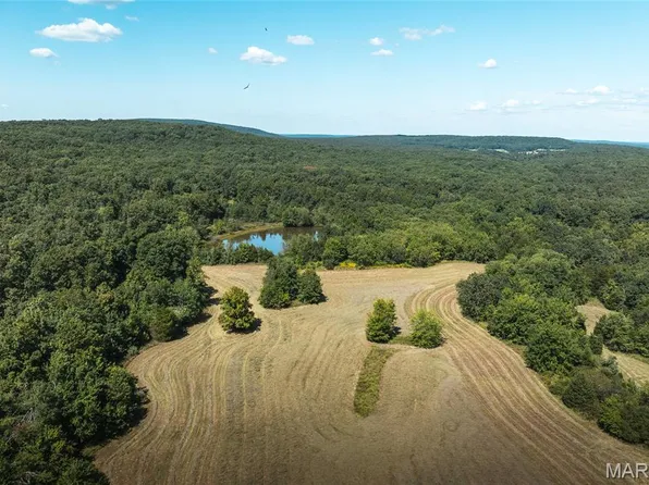 4 Buck Mountain Rd, Doe Run, MO 63637