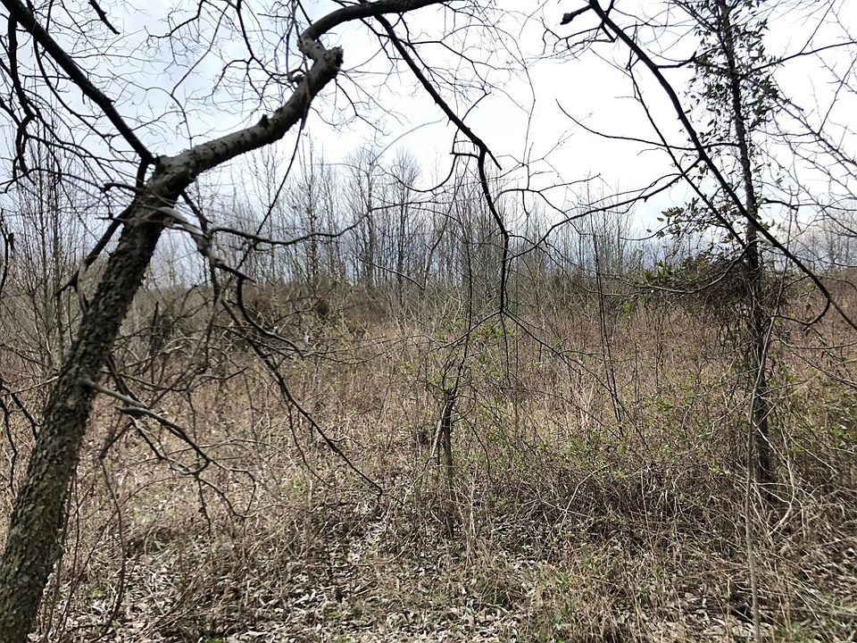 2nd image of 185 Combs Ln