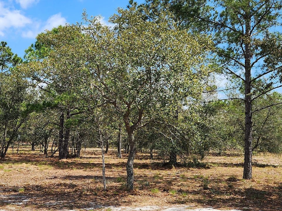 1st image of 548 Bendigo Passage Court SE LOT 565