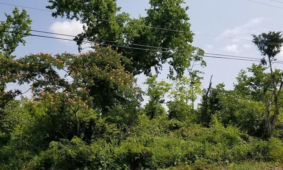 2nd image of 4264 Old Woodland Dr