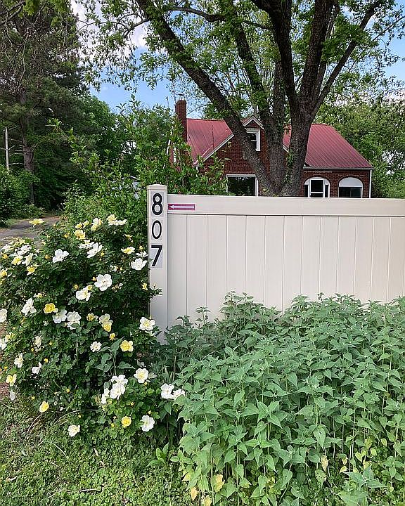 Front Fence & flowers