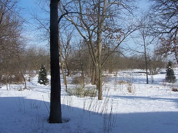 2nd image of 831 Reserve Ct