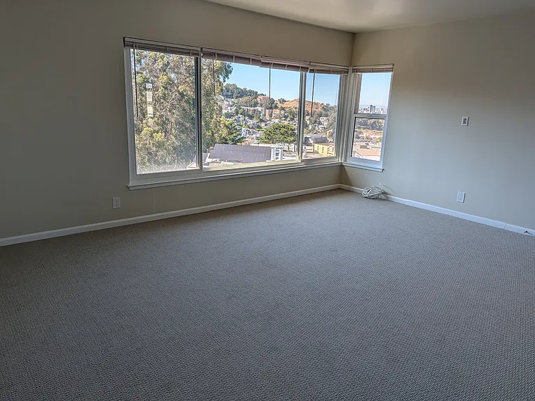 Living room windows