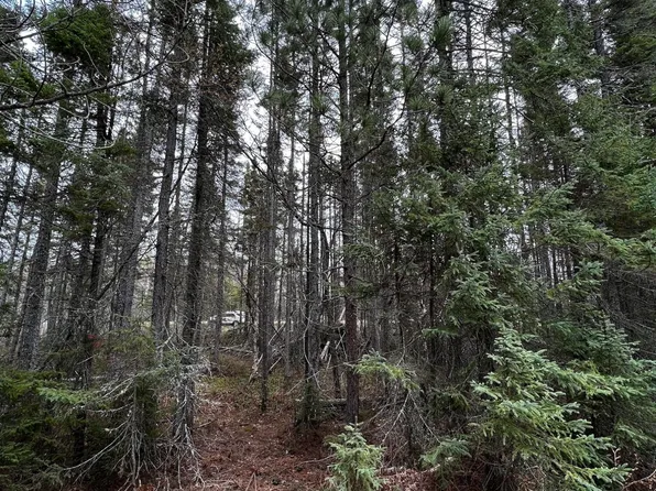 11155 N Whitefish Point Rd, Paradise, MI 49768