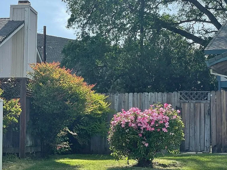 Thornwood Dr — Photo 13