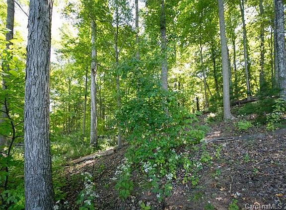 3rd image of 9609 Sweetleaf Pl
