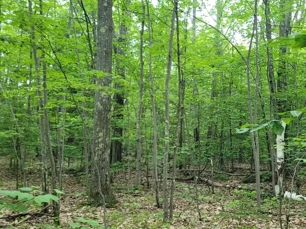 L10 Rossman Hill Road, West Fulton, NY 12194