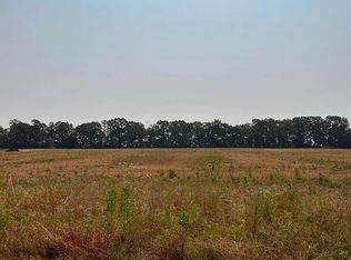 TRACT 61 Hays Mill Rd, Elkmont, AL 35620