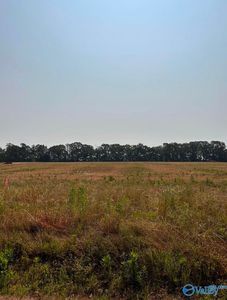 TRACT 61 Hays Mill Rd, Elkmont, AL, 35620